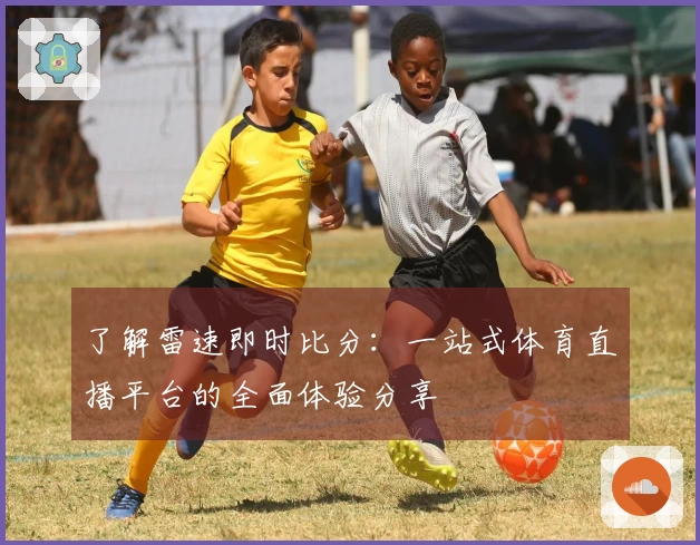 了解雷速即时比分：一站式体育直播平台的全面体验分享