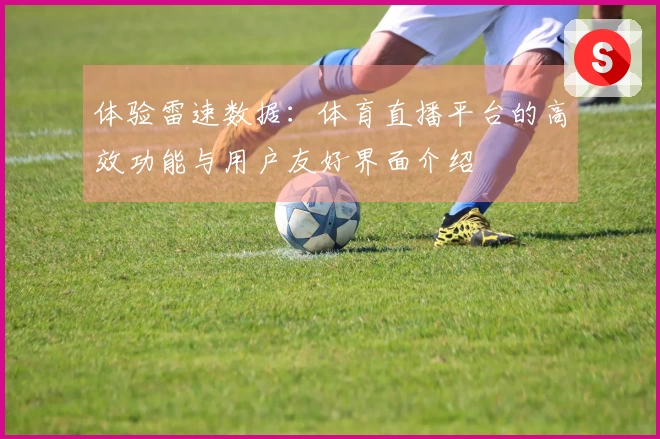体验雷速数据：体育直播平台的高效功能与用户友好界面介绍